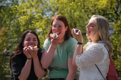 Bossche bollen workshop | Creatieve workshops